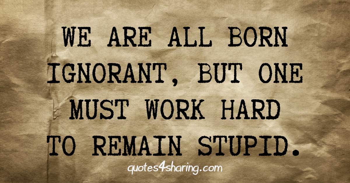 We are all born ignorant, but one must work hard to remain stupid