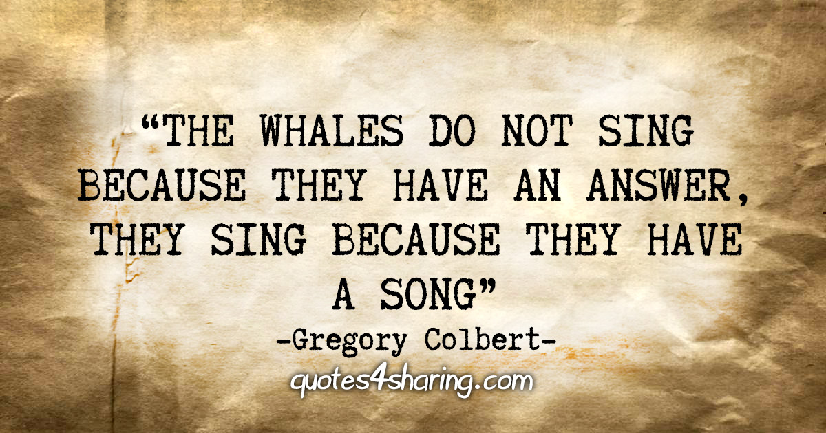 "The whales do not sing because they have an answer, they sing because they have a song" - Gregory Colbert