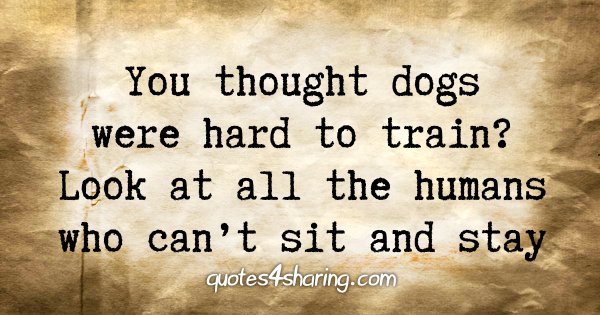 You thought dogs were hard to train? Look at all the humans who can't sit and stay