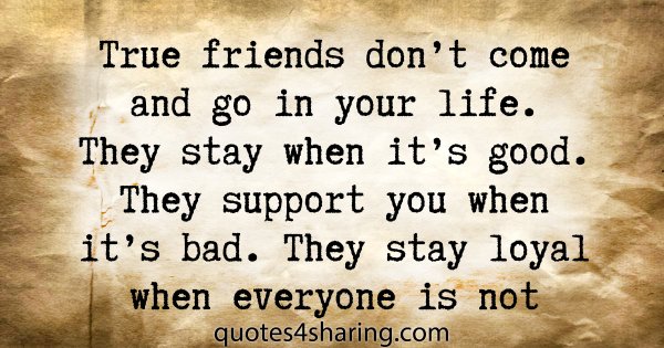 True friends don't come and go in your life. They stay when it's good. They support you when it's bad. They stay loyal when everyone is not